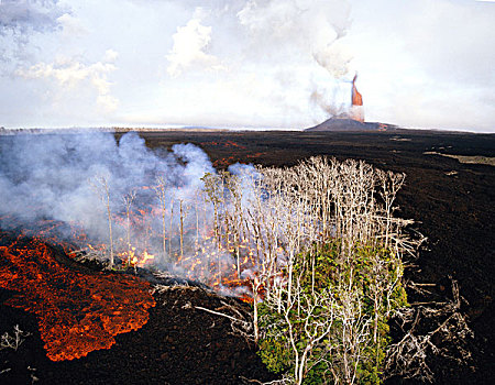 夏威夷,基拉韦厄火山,风景,火山岩,流动,夏威夷火山国家公园,大幅,尺寸