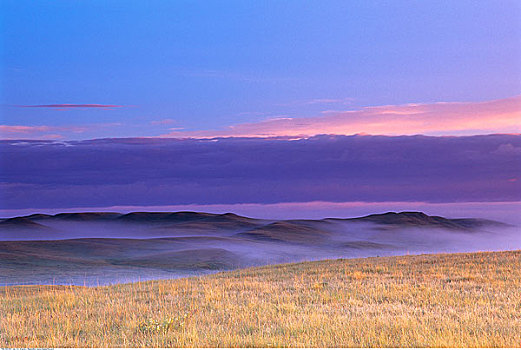 晨雾,东方,草原国家公园,萨斯喀彻温,加拿大