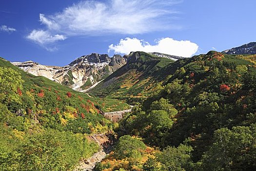 山脉,山,温泉,秋叶