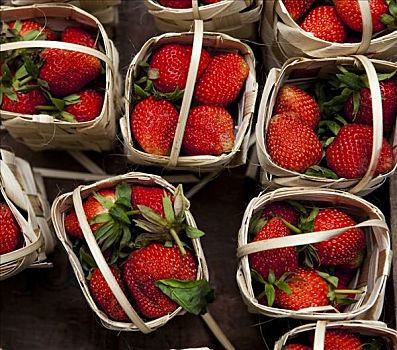 俯拍,草莓,篮子,缅甸