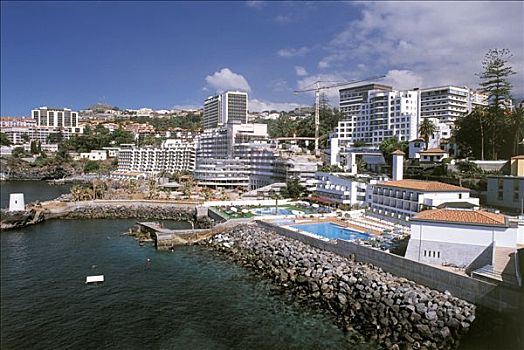 马德拉岛,丰沙尔,全景,酒店,海边,游泳池