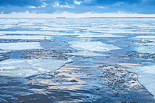 冬天,海边风景,漂浮,冰,碎片,安静,寒冷,水,海湾,芬兰,俄罗斯