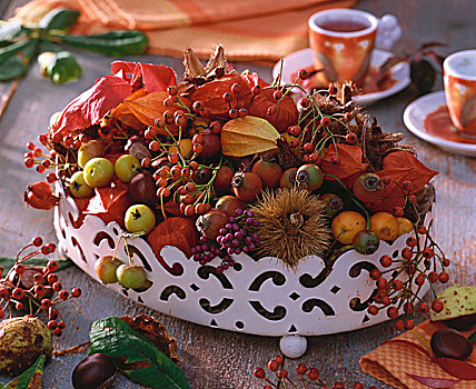 秋天,桌饰,碗,野玫瑰果,山楂