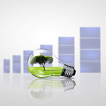电灯,灯泡,植物,室内,信息技术,象征,清洁能源