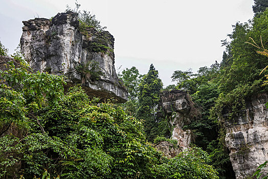 宜昌,三峡人家,长江,运输,航道,民俗,表演,风景,景点,旅游,高山,瀑布,河流,神秘,树木,植被,峡谷,壮观