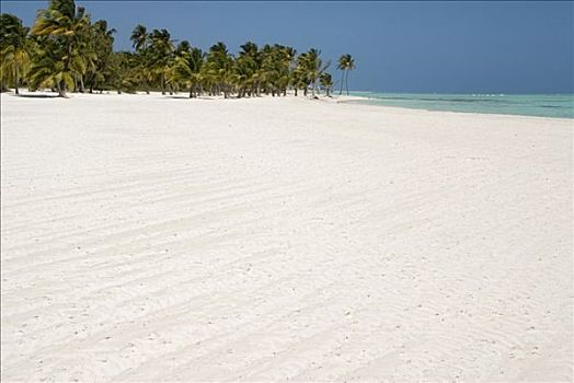 棕榈海滩,蓬塔卡纳,多米尼加共和国,加勒比海