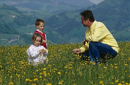 父亲,玩,两个孩子,花,草地,上奥地利州,奥地利,欧洲