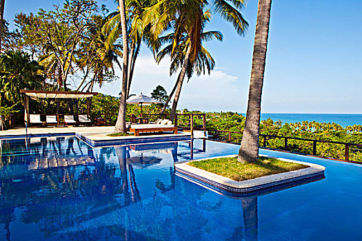 奢华,游泳池,复杂,棕榈树,海洋