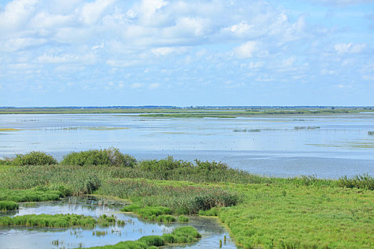 雁窝岛,湿地