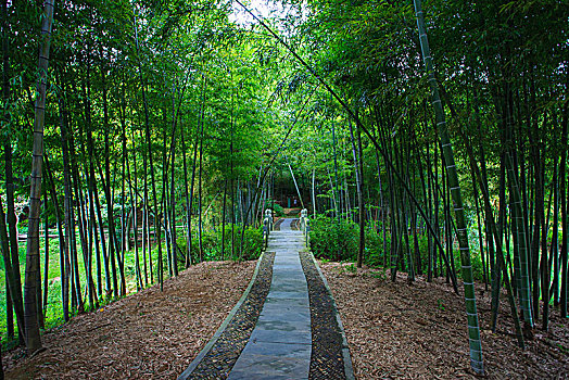 慈溪,五磊山,禅寺,寺院,生态,山水