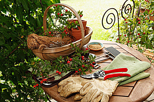 园艺,器具,花园桌