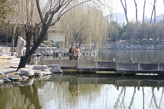 2月27日,在山东省临沂市兰山区王羲之故居,游客在拍垂柳