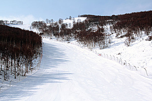 在滑雪场白色的雪道上滑雪的人