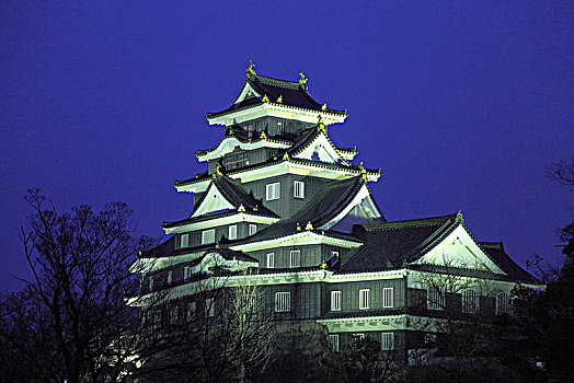日本,冈山,城堡