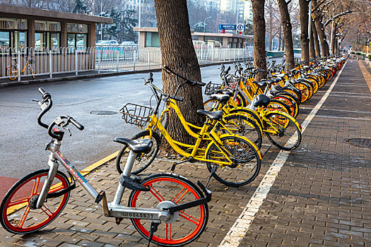 共享单车与北京雪后街景