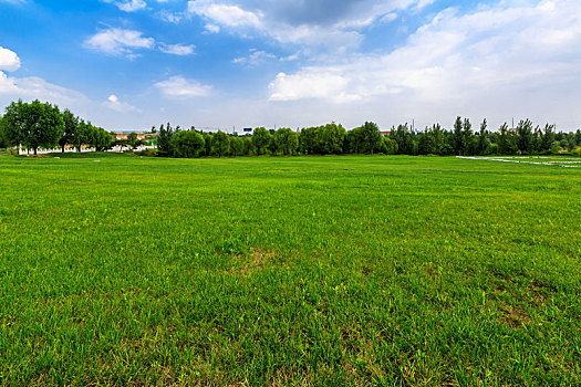 蓝天下村落前一片绿色的草坪