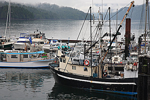 渔业,船,码头,王子,不列颠哥伦比亚省,加拿大