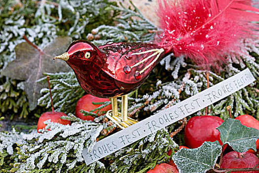 红色,玻璃,鸟,针叶树,枝条,圣诞节,问候