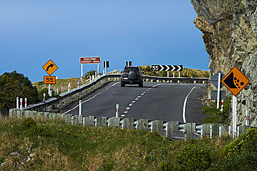 公路,一个,河流,海岸,南岛,新西兰