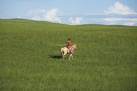 骑手,草地,蒙古,中国