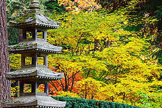 秋色,日式庭园,波特兰,俄勒冈,美国