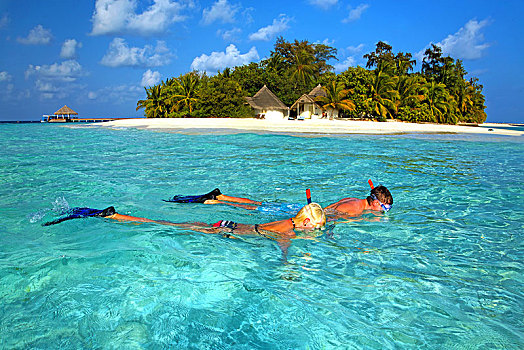 水下呼吸管,青绿色,浅水,岛屿,马尔代夫,亚洲