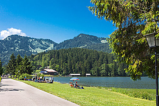 湖,山峦,阿尔卑斯山,巴伐利亚,德国,欧洲