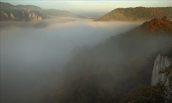 多瑙河,山谷,巴登符腾堡,德国