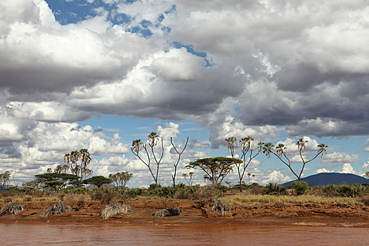 河,肯尼亚