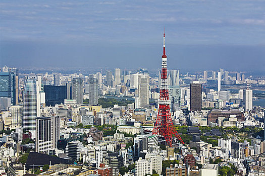 东京塔,东京,关东地区,本州,日本