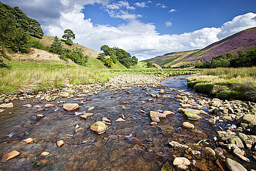 英格兰,德贝郡,峰区国家公园,河,流动,树林,山谷,蛇,道路