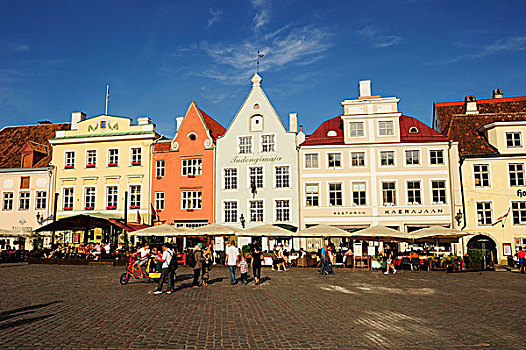 市政厅,美景,房子,历史,中心,塔林,爱沙尼亚,欧洲