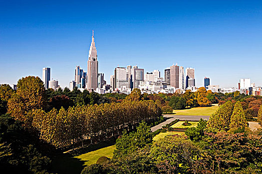 日本,东京,新宿,天际线,新宿御园,花园