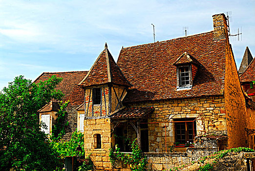 中世纪,房子,萨尔拉,区域,法国
