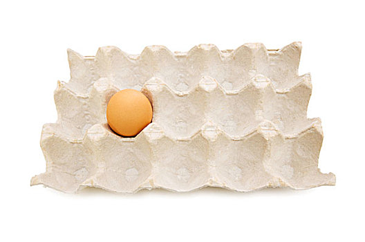 一个,鸡蛋,纸盒,隔绝,白色背景