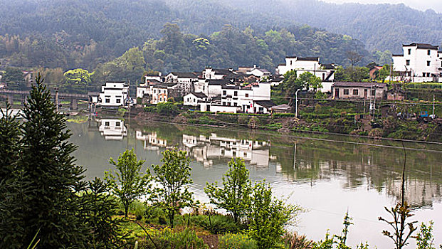 山水樟村