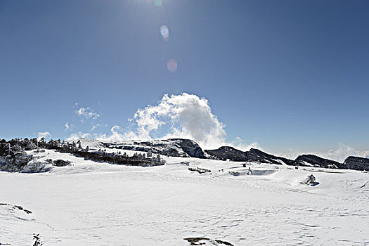 雪中小景