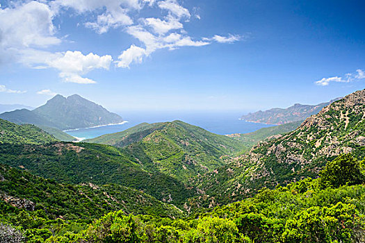风景,山,海湾,背景,右边,自然保护区,世界遗产,波尔图,科西嘉岛,法国