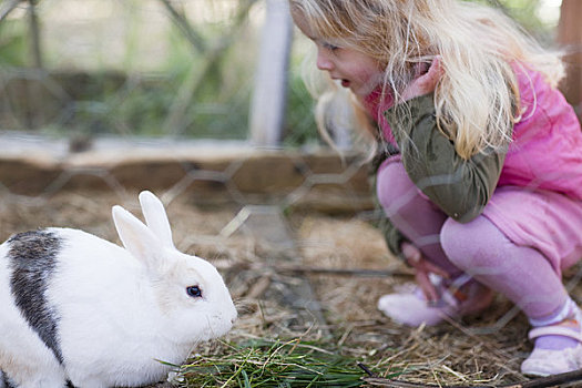 小女孩,蹲,看,兔子