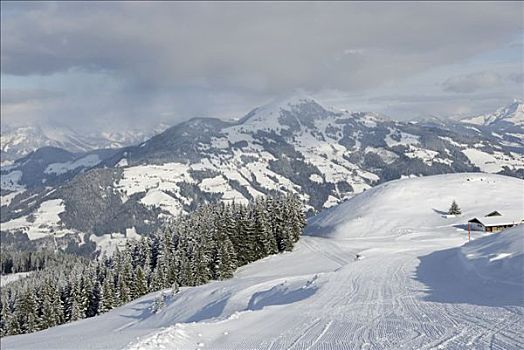 滑雪坡,全景,阿尔卑斯山,奥地利