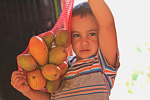 男孩,水果,路边,水果摊,靠近,区域,北下加利福尼亚州,墨西哥