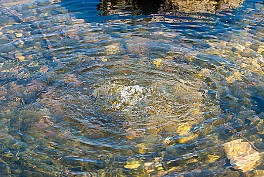 水,泡泡,水塘,绿色,石头