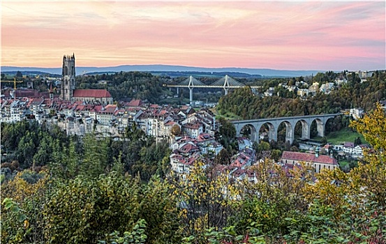 风景,大教堂,桥,弗里堡,瑞士