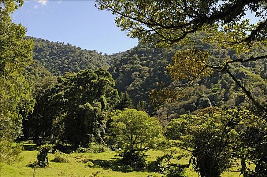 国家公园,哥斯达黎加,中美洲