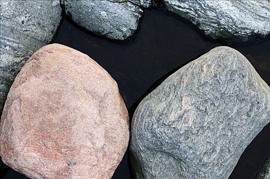 石头,特写,瑞典