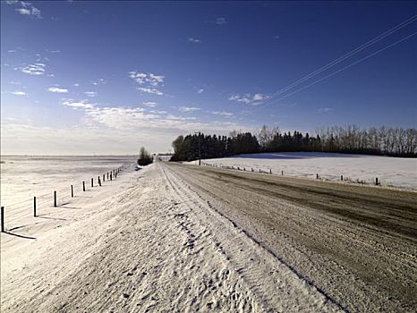 雪路,冬天,艾伯塔省,加拿大