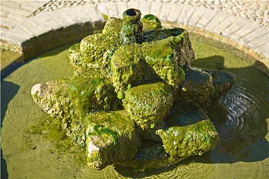 绿色,喷泉