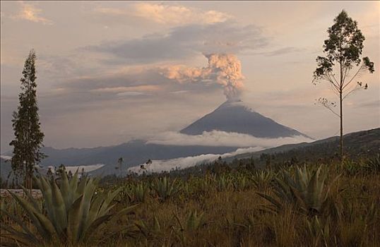 火山,喷发,动作,层状火山,城市,山峦,厄瓜多尔