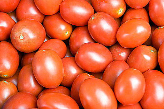 许多,新鲜,红色,西红柿