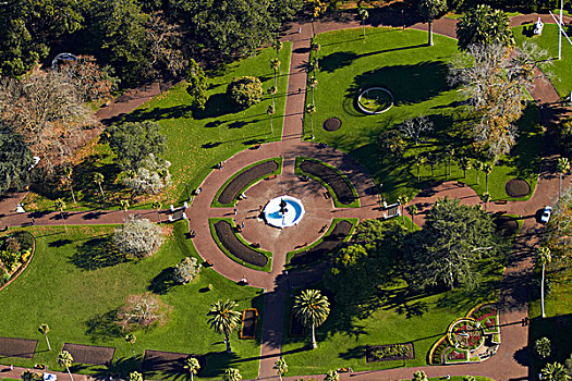 喷泉,公园,奥克兰,北岛,新西兰